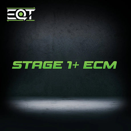 EQT Staged ECU Flex Fuel Tune - VW MQB GLI 2.0T (A7.5)